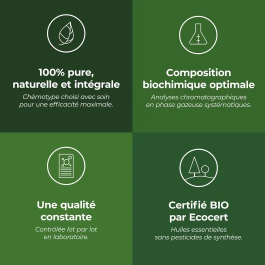 71SbSFHzdfL._AC_SL1500_