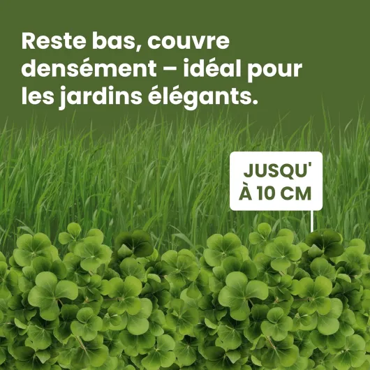 81 pxjGhhbL._AC_SL1500_