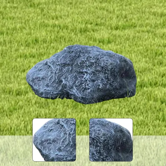 81BwLDe29zL._AC_SL1500_