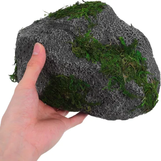 81aMa1wF5SL._AC_SL1500_