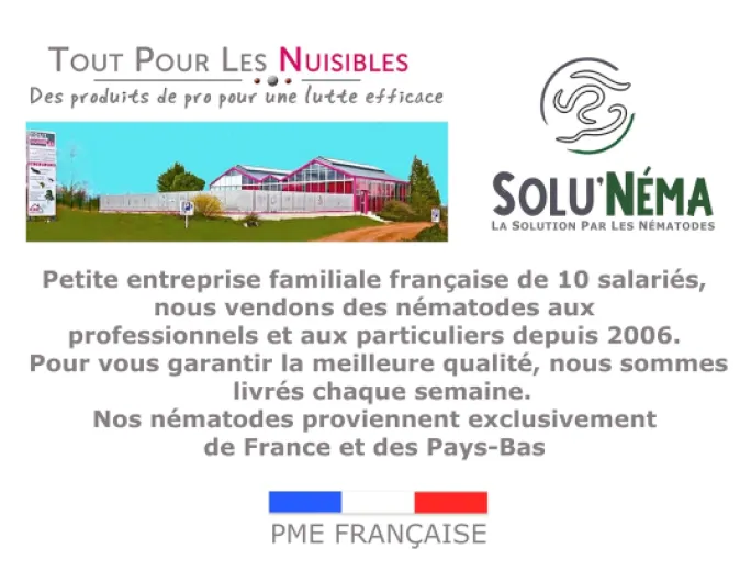 71bSkqAI77L._SL1500_