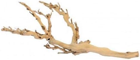 Exoterra Bois d'Ornement pour Reptiles Pied de Vigne Sablé