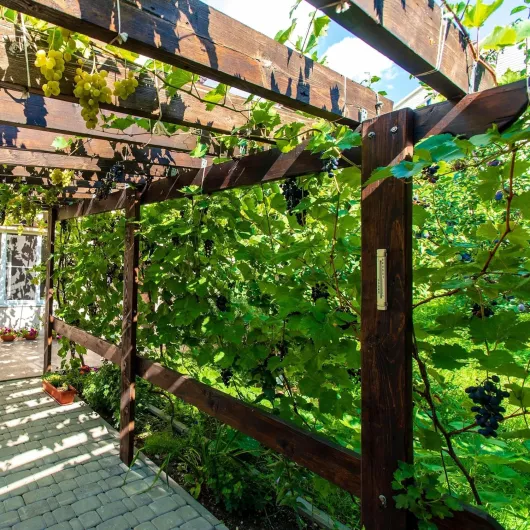 91eIY 1RsWL._AC_SL1500_