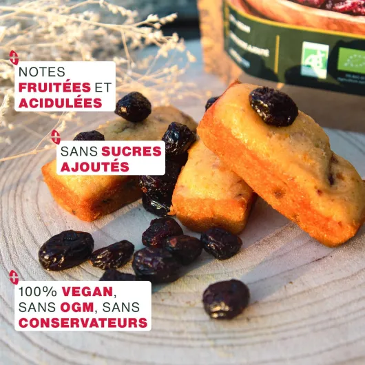 71w3iBR0taL._AC_SL1400_