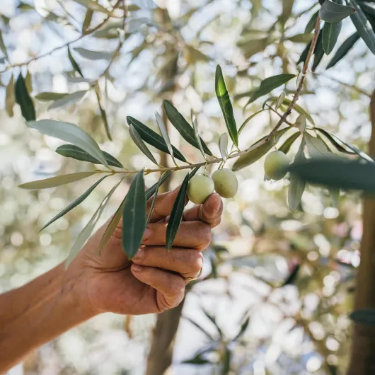 81mZdzmQACL._AC_SL1500_