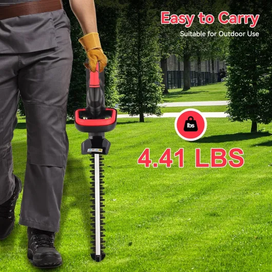 91QupebCCCL._AC_SL1500_