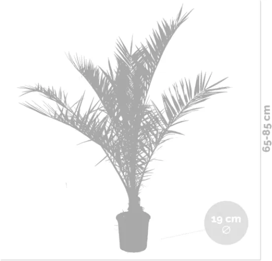 51UTZ1YTEzL._AC_SL1200_