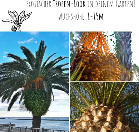 91NO30jp1xL._AC_SL1500_