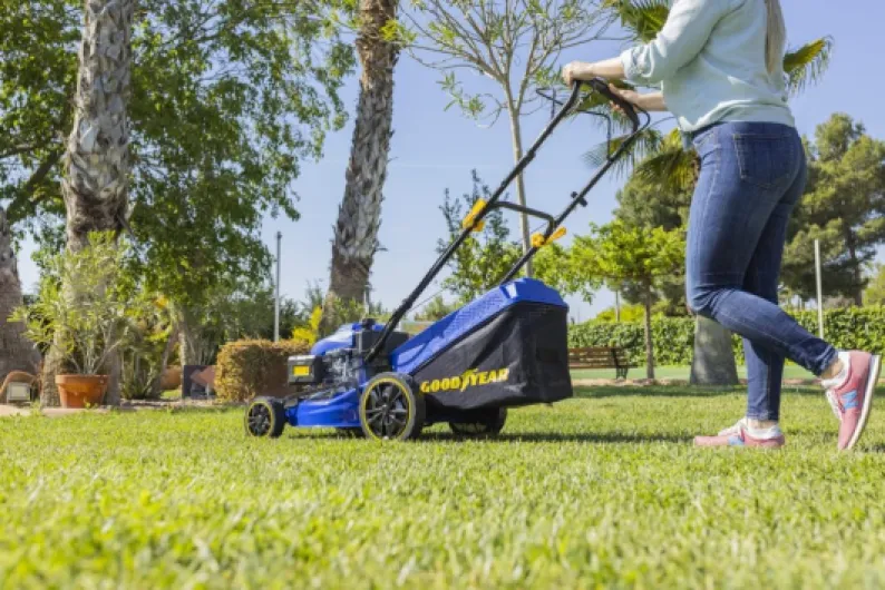 71YzOany1fL._AC_SL1000_