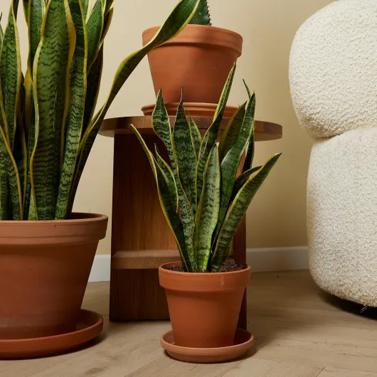 91FGP7EkdrL._AC_SL1500_