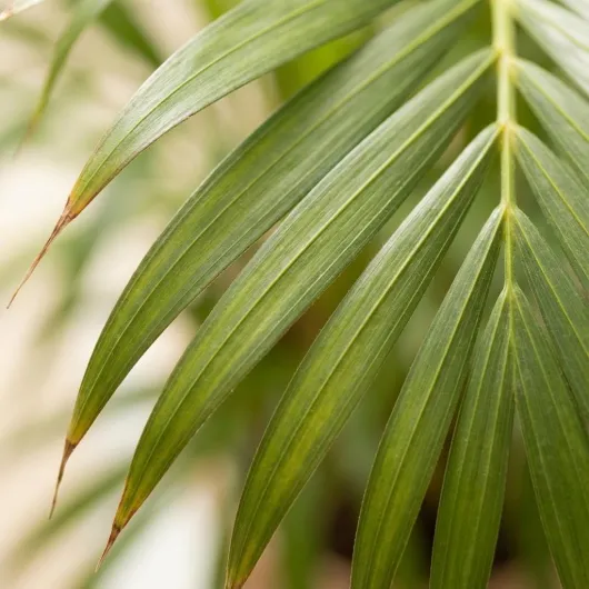 61vuxkWjWfL._AC_SL1024_