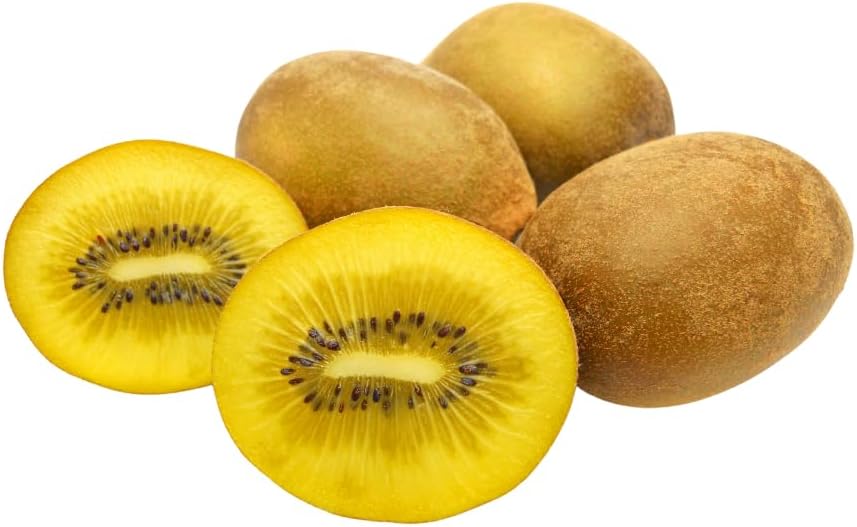 Actinidia - Kiwi Variété Jaune Plante Fruitière Jinfeng sur pot 20 cm - Hauteur maximale 170 cm - Âge 2 ans