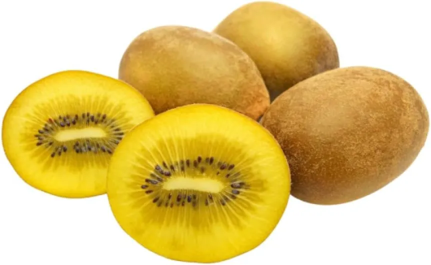 Actinidia - Kiwi Variété Jaune Plante Fruitière Jinfeng sur pot 20 cm - Hauteur maximale 170 cm - Âge 2 ans