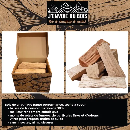 71TvoInkblL._AC_SL1280_