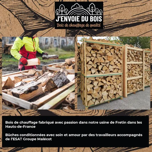 81UAsqpHg9L._AC_SL1280_