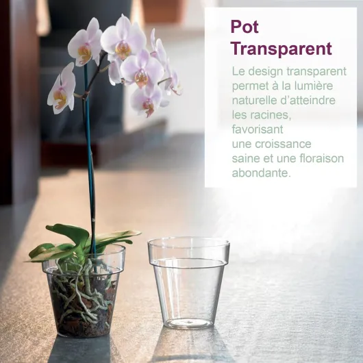 71ZcjozHbKL._AC_SL1500_