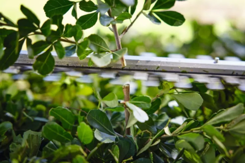 612DLIs oYL._AC_SL1065_