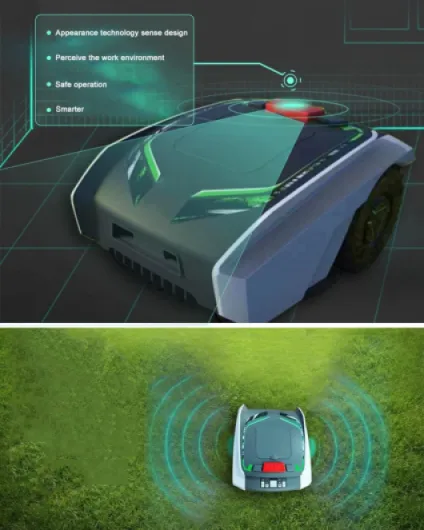 61iW4srt-dL._AC_SL1252_