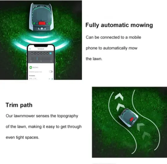 61hmr8XO5sL._AC_SL1001_