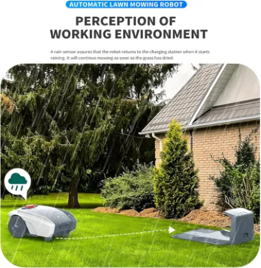 81i98Lw9UHL._AC_SL1500_