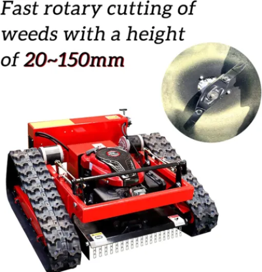 71q7A4w31dL._AC_SL1500_