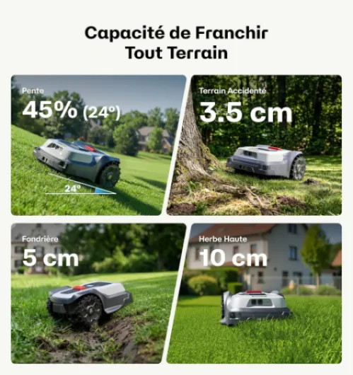 81NmcGA KrL._AC_SL1500_