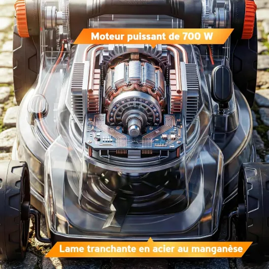 81VAoktg2-L._AC_SL1500_