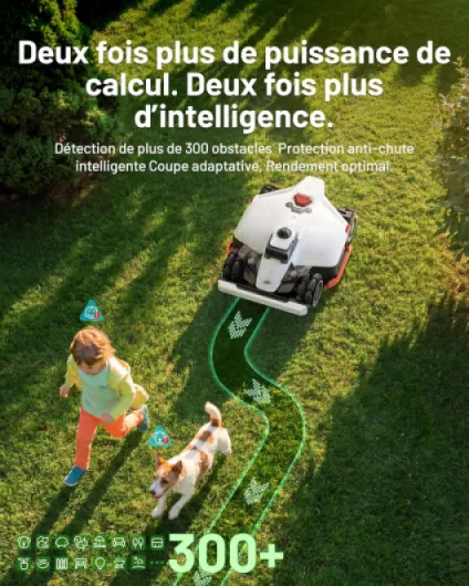 913sSmx5NxL._AC_SL1500_