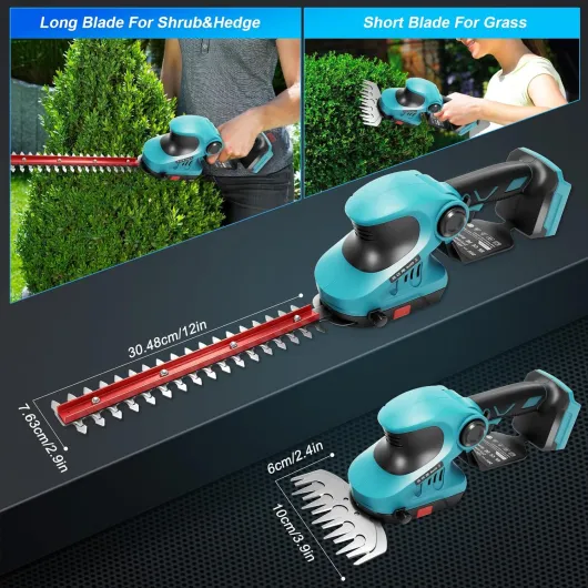 81at7juiEkL._AC_SL1500_