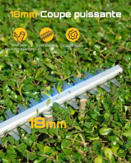 Test Seesii Taille-Haie Télescopique 50 cm : pratique pour les haies hautes, mais pas une bête de course