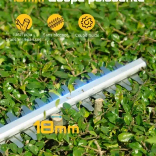 Test Seesii Taille-Haie Télescopique 50 cm : pratique pour les haies hautes, mais pas une bête de course