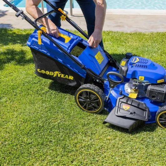 81MjnHaimxL._AC_SL1000_