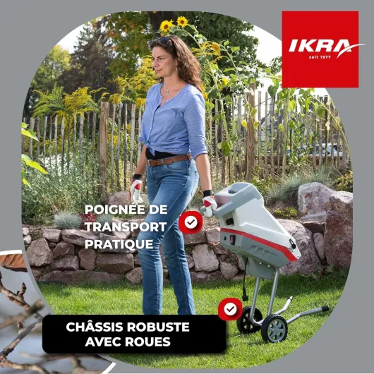 81p8keANj L._AC_SL1500_