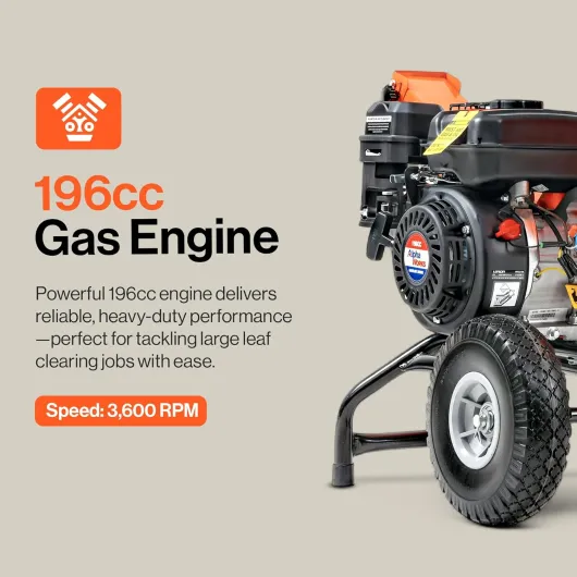 71OJavOC6JL._AC_SL1500_