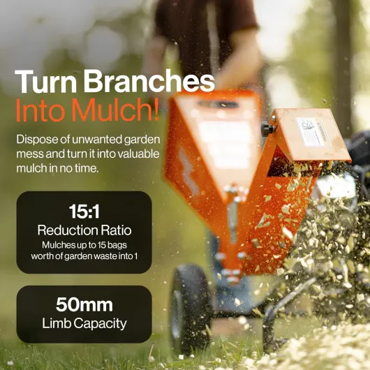 81jvPLlfAeL._AC_SL1500_