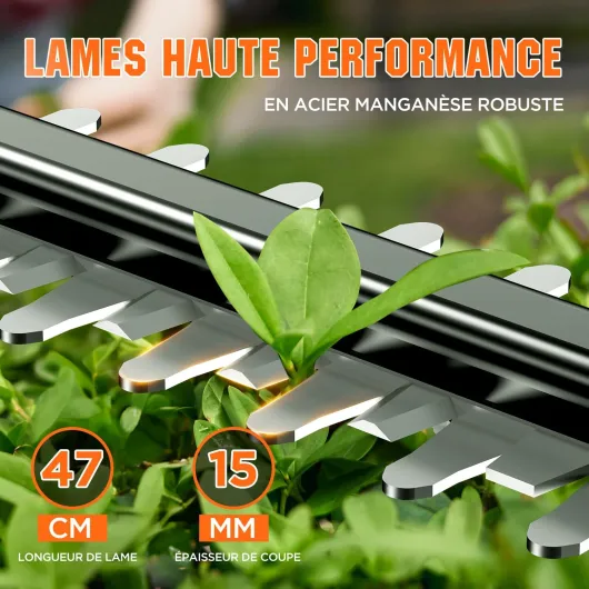 71dV7qzuF8L._AC_SL1500_