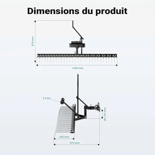 61QqA6X4-vL._AC_SL1500_