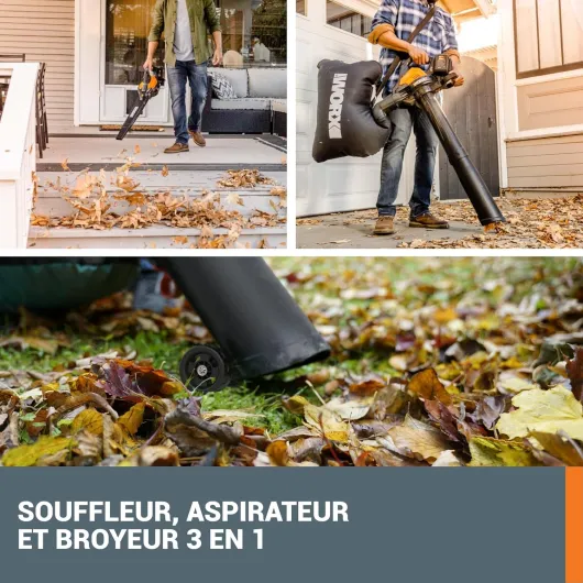 81iZ-gHRrEL._AC_SL1500_