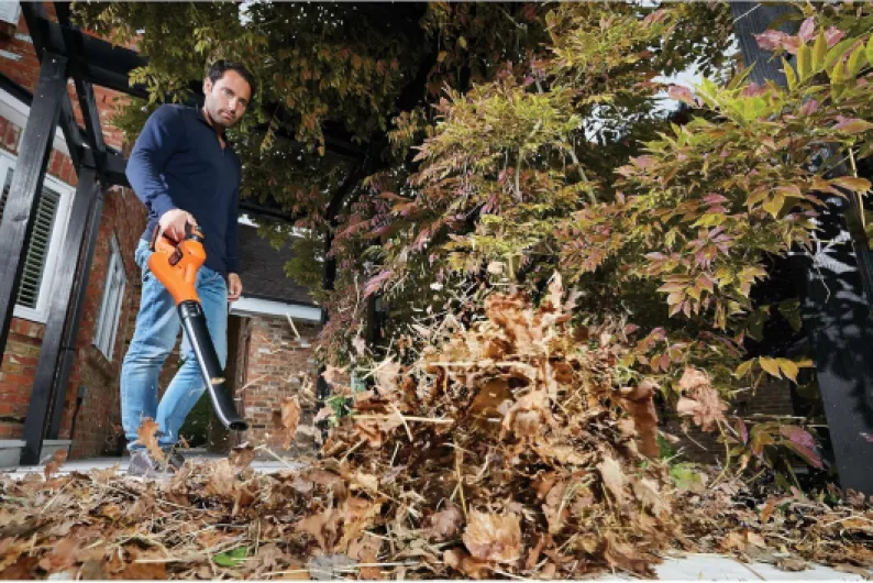 91x1sF TVHS._AC_SL1500_