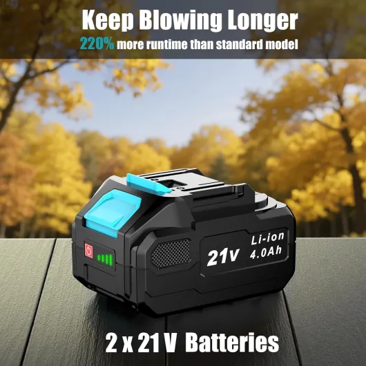 81McJLtP11L._AC_SL1500_