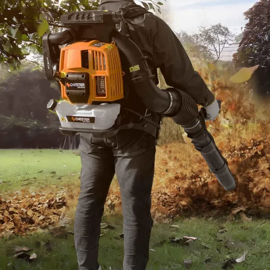 81fiNxdaBnL._AC_SL1500_