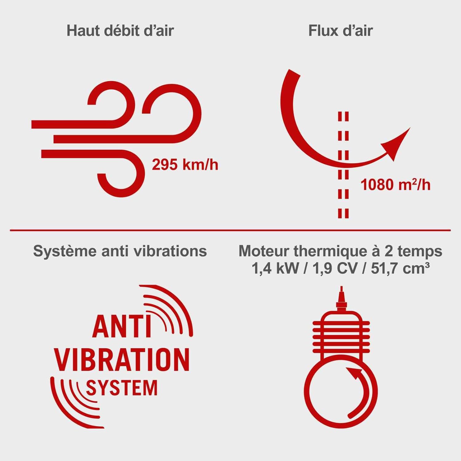Souffleur a dos thermique LB5200BP - 51,7cm3