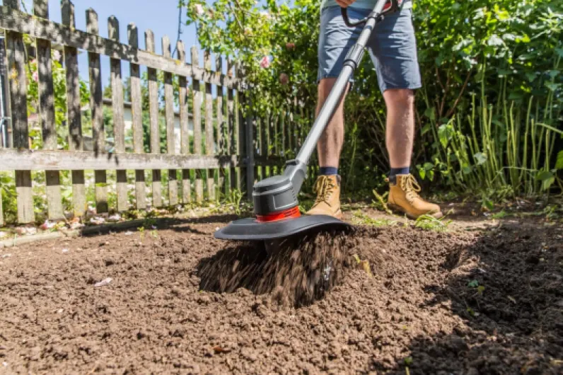 81mCuEcDFoL._SL1500_