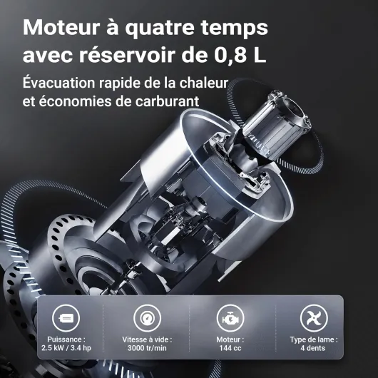 81v6C3rK5tL._AC_SL1500_