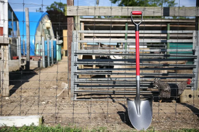 91YORvoFdbL._AC_SL1500_