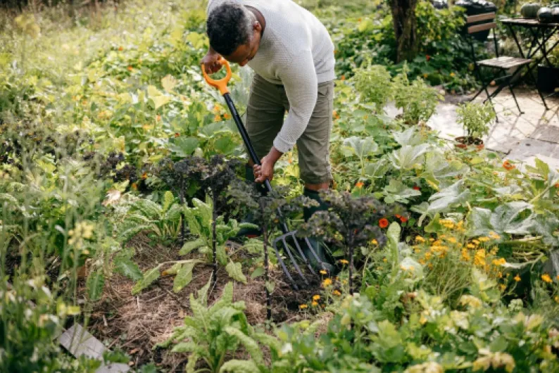 81PKWVzG 5L._AC_SL1439_