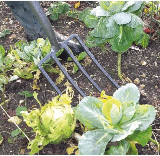 81wSOmsyyrL._AC_SL1280_