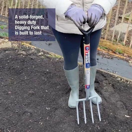 91tyovh0kTL._AC_SL1500_