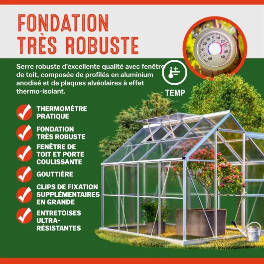 Serre de Jardin en Aluminium 7,63mł abri extérieur pour Plantes légumes 250x190x195cm avec fenętres