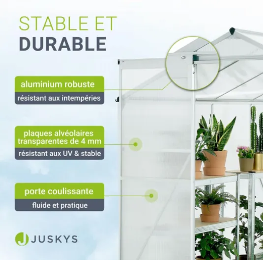 71wh3QxyflL._AC_SL1500_